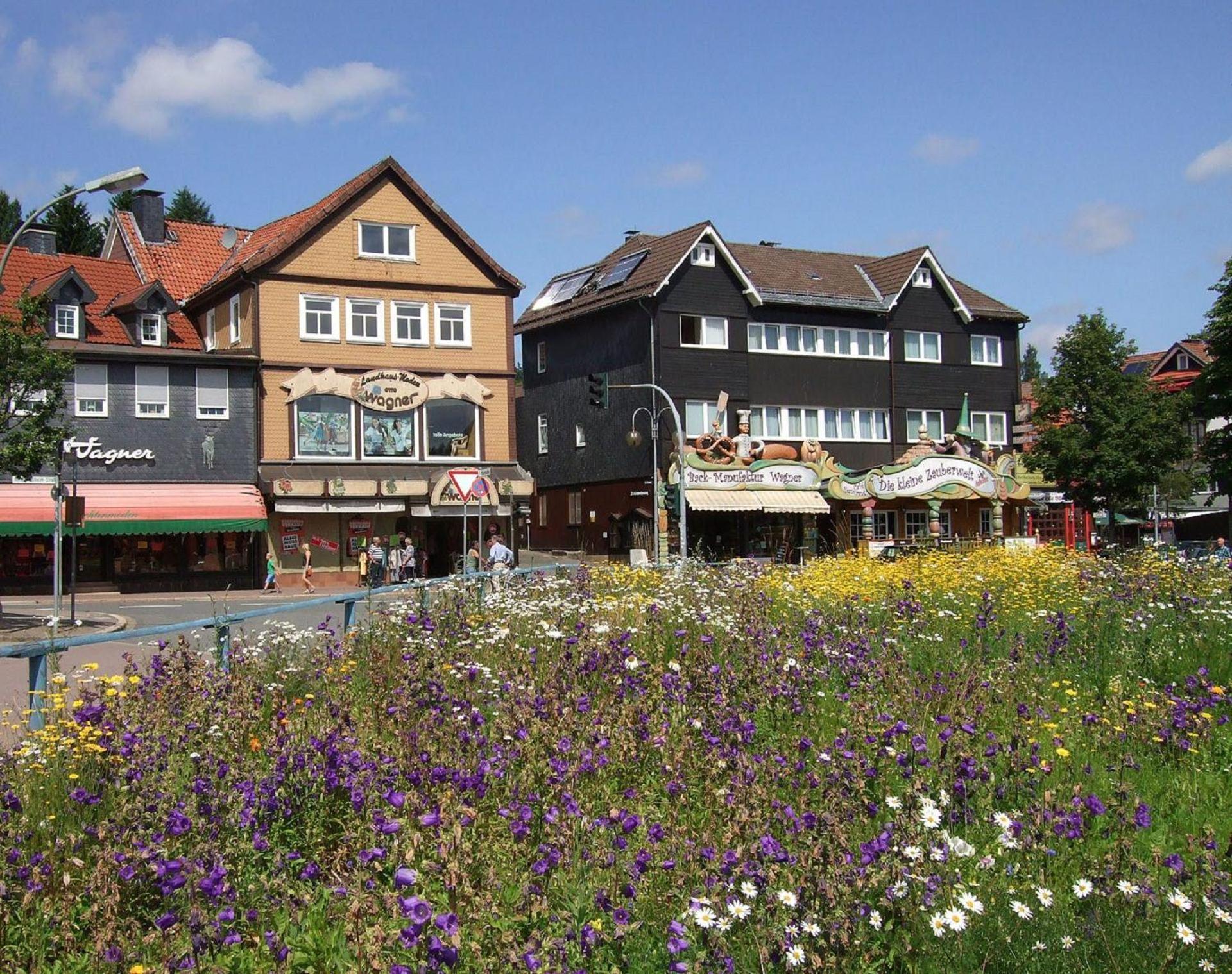 Ferienresidenz An Der Bode, Wohnung 1 Braunlage Exterior photo